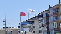 A flag in the beach of Zarautz alerting about the presence of jellyfish in the water