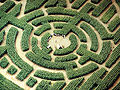 Image 34Labyrinth maze of Barvaux, Durbuy, Belgium (from List of garden types)