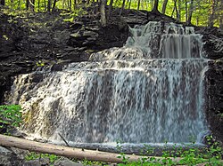 Savantine Creek Falls in the Delaware State Forest
