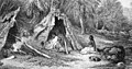 Image 1Indigenous Australian camp by Skinner Prout, 1876 (from History of agriculture)