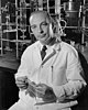 Arthur Kornberg (MD 1941), recipient of the Nobel Prize in Physiology or Medicine