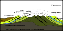 Cross-sectional diagram of eroded layers of geological anticline