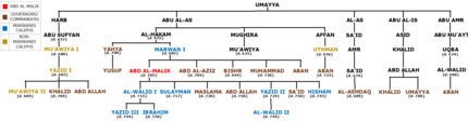 A schematic diagram of the Umayyad ruling family during the caliphate of Abd al-Malik