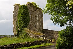 Ruined tower house (An Caisleán Gearr) at Castlegar