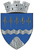 Coat of arms of Piatra-Olt