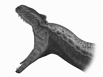 Allosaurus mouth