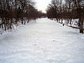 Red Cedar River in winter
