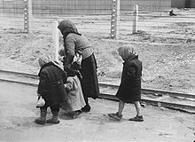 Bundesarchiv Bild 183-74237-004, KZ Auschwitz-Birkenau, alte Frau und Kinder.jpg
