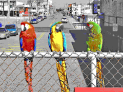 EGA 640 × 200 × 16 colors, CGA-compatible palette