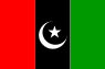 The Flag of Pakistan.