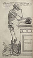 Image from Andreas Vesalius's De humani corporis fabrica (1543), page 164.