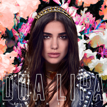 Dua Lipa in front of a background with flowers wearing a black leather jacket. The song's title, "Be the One" appears at the bottom and her name appears above the title in big block letters.