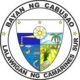 Official seal of Cabusao