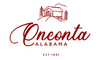 Flag of Oneonta