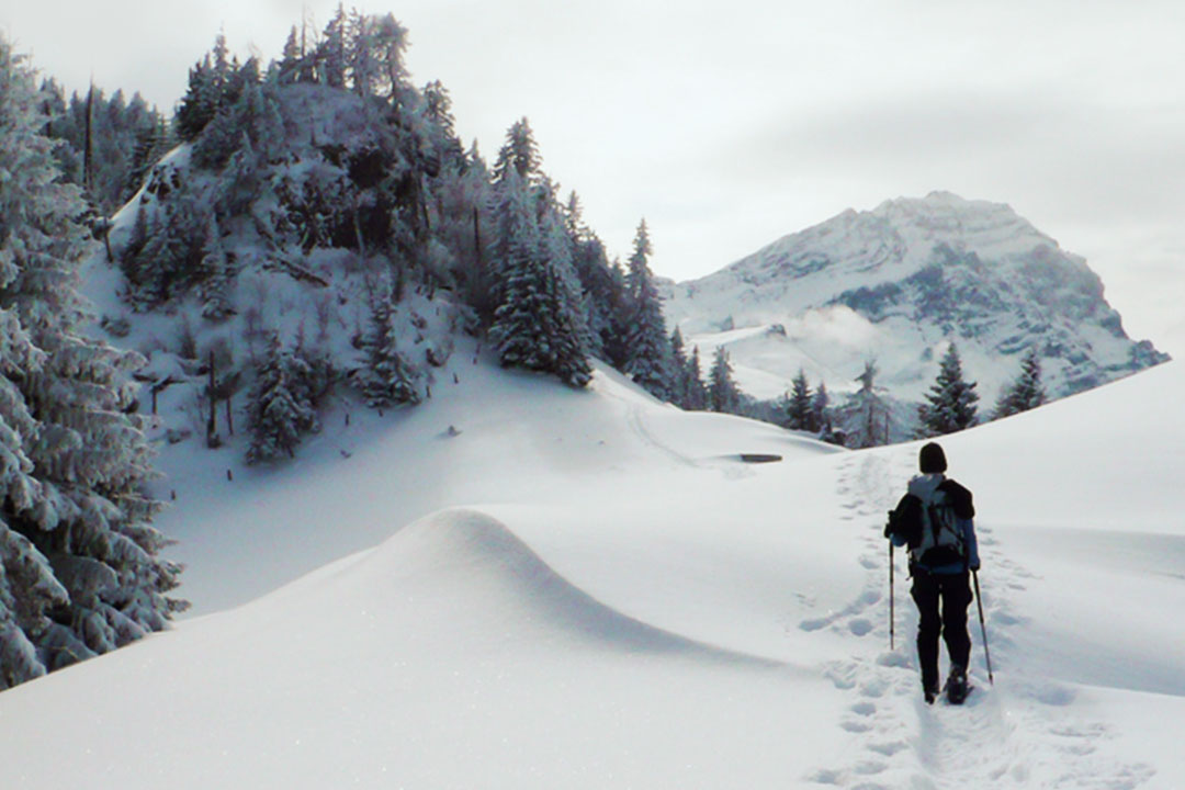 a lone snow shoer in an all black outfit treks through the powdery snow. On the right is a forest of evergreen trees dusted with snow. In the distance is a jagged, snow covered peak of a mountain.