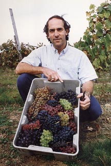 Bruce Reisch with grapes