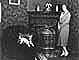 Olga Fuchel relaxes with her dogs in the Vienna apartment she shared with her husband, Rudolf.