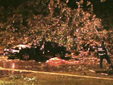A motorist was killed when a tree fell on his car after a violent thunderstorm hit Montreal.