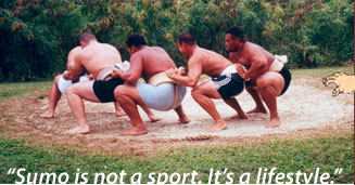 “Sumo is not a sport. It’s a lifestyle.”

Forming a semi-circle, five American wrestlers, wearing bike shorts under traditional sumo loincloths, squat while training.