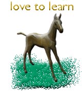 www.horse-country.com