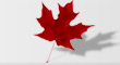 CTV.ca Politics Blog