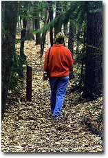 hiker walking along a trail.
