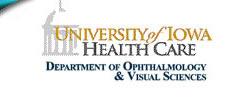 University of Iowa Department of Ophthalmology & Visual Sciences