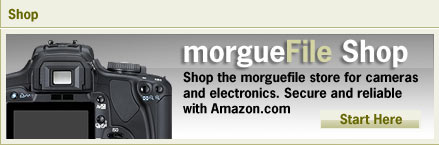 shop for morguefile