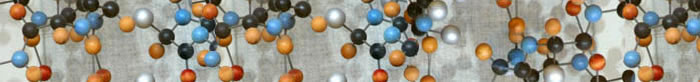 Ball and stick models of molecules