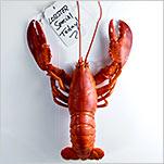 Luxury on Sale: The Lobster Glut