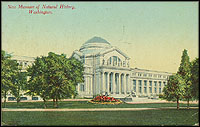 Postcard of the Museum circa 1911