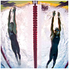 FINA World Swimming Championships