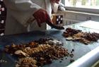 Chinese herbs show early promise for endometriosis