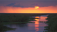 Photos: Travel to the Everglades