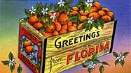 Photos: Greetings from Florida -- classic postcards