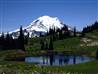 Image: Mount Rainier National Park