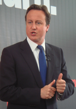 David Cameron waist up