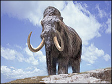 Mammoth (BBC)