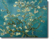 Almond Blossom, St. Remy 1890, Art Print by Vincent Van Gogh
