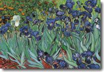 Irises In The Garden, Poster by Vincent Van Gogh