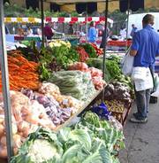 Photo of Rochester Farmer's Market