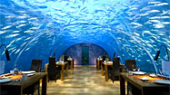 Offbeat Traveler: Ithaa Undersea restaurant at Conrad Maldives Rangali Island