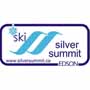 Silver Summit 90 px
