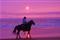 A young woman takes her horse for a walk along the beach at sunset on the Oregon coast at Nehalem State Park.