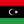 The Libyan TNC