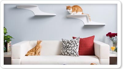 $15 off pet bedding, supplies and more