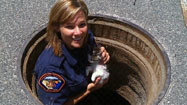 Officer Crawls Into Storm Drain To Rescue Kitten