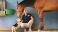 Equine virus outbreak spooks horse owners across Western U.S.