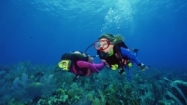 $49 Intro to Scuba Diving Lesson at Malibu Divers ($99 Value)
