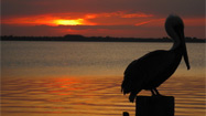 Your Photos: Florida Sunsets & Sunrises